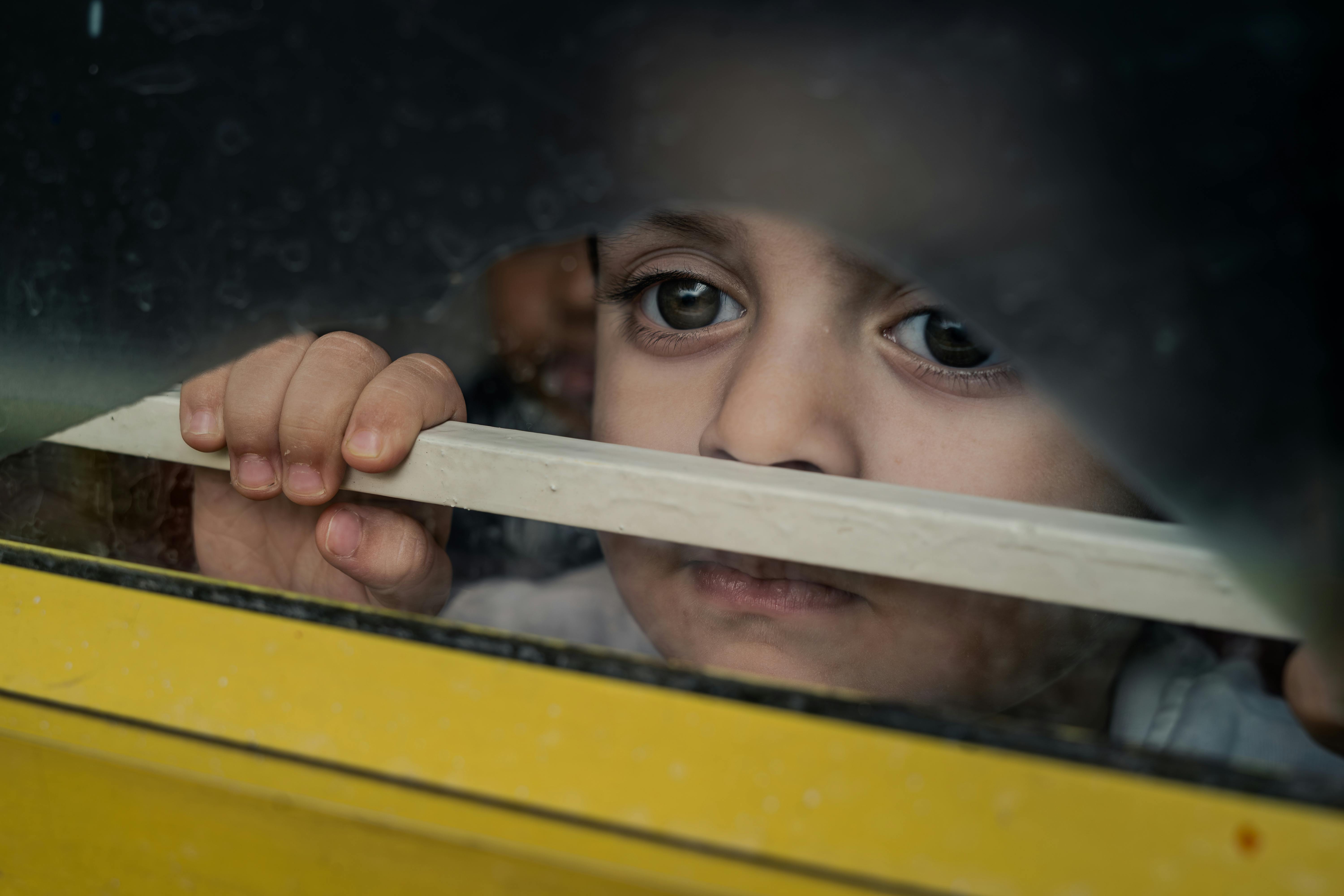 Exploring the Threats Facing Giant Kelp Forests: What You Can Do to Help Protect This Hidden Wonder