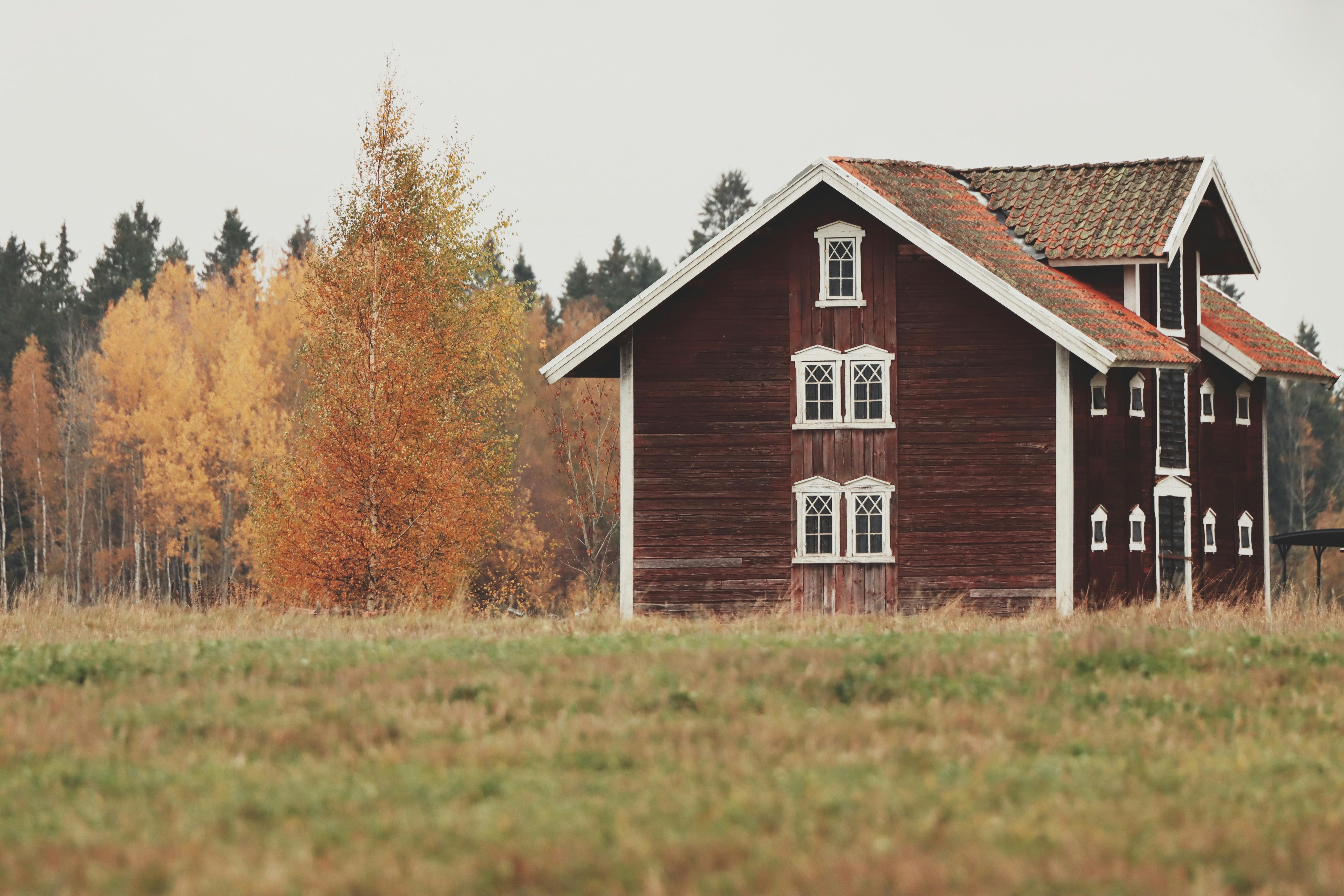 scenic swedish barn in autumn landscape