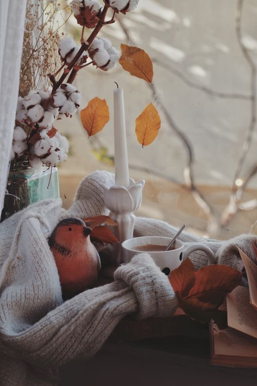 Free Warm autumn scene with coffee, leaves, and cozy decor by a window. Stock Photo