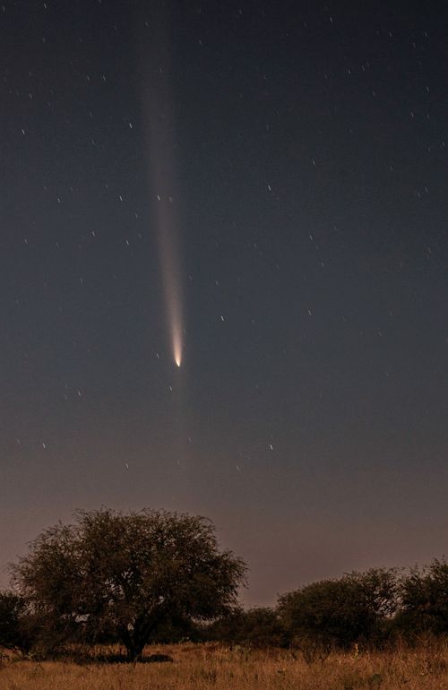 Free A stunning view of a comet crossing the night sky over a desert landscape. Stock Photo