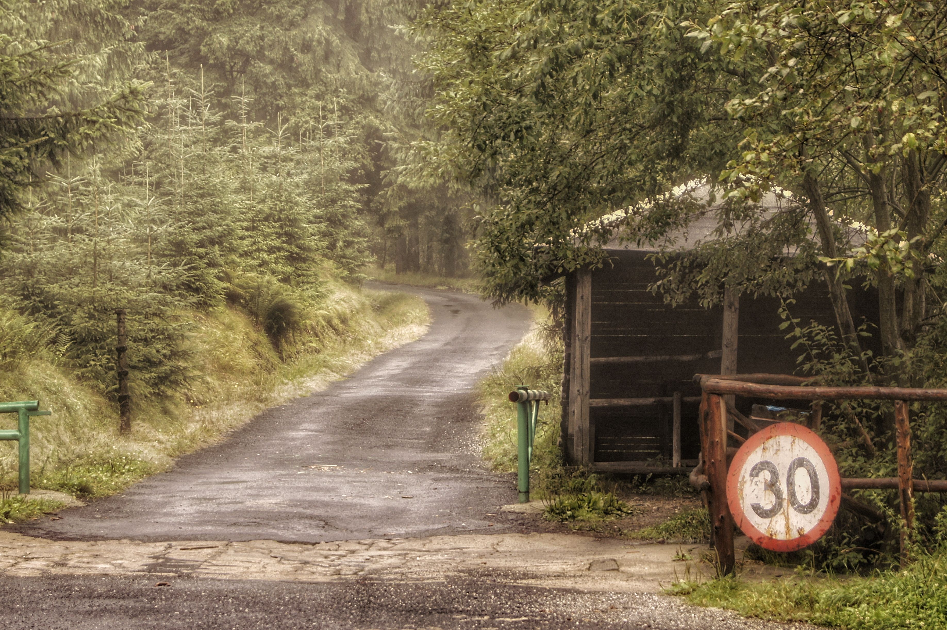 A first-come trail shelter on the Ouachita Trail