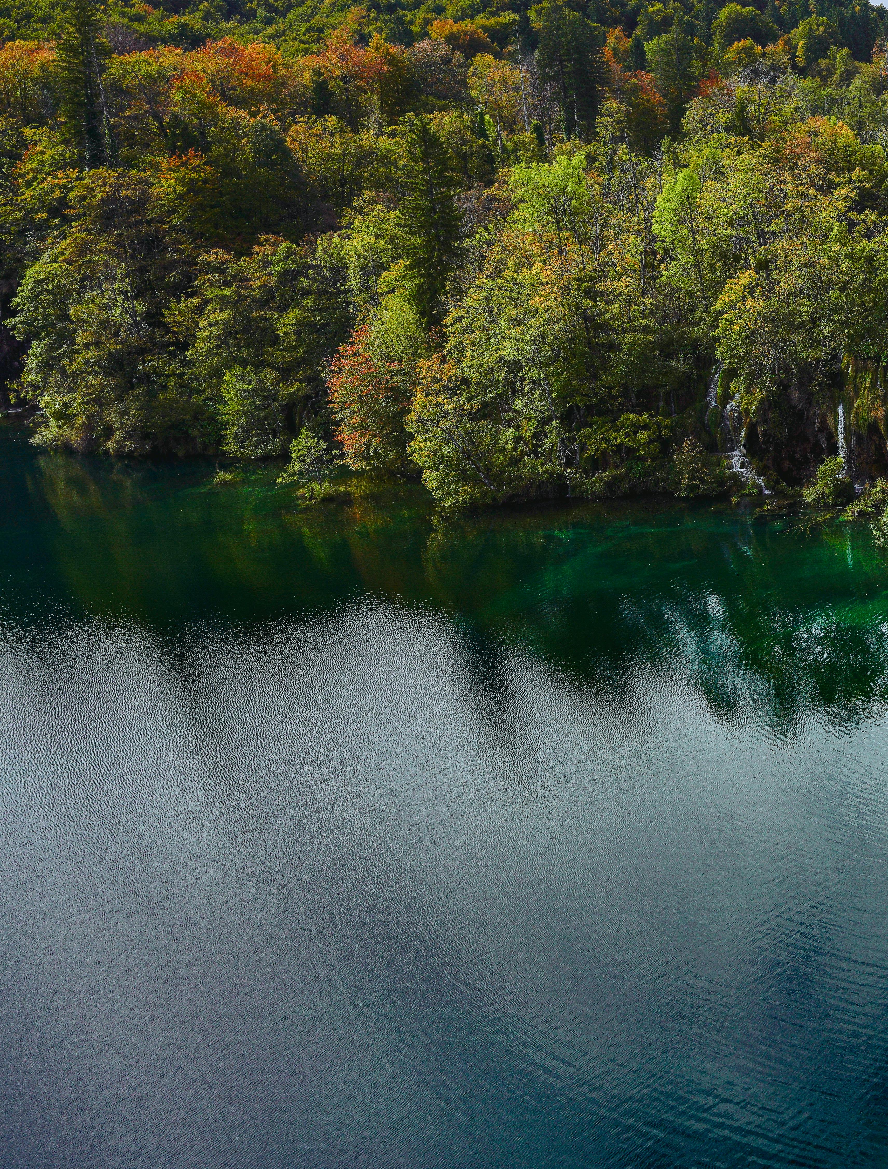 A tranquil forest landscape reflected on a calm lake, showcasing vibrant autumn colors.