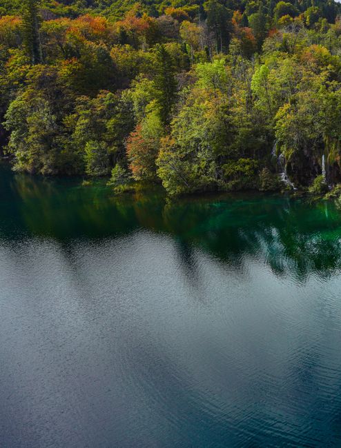 A tranquil forest landscape reflected on a calm lake, showcasing vibrant autumn colors.