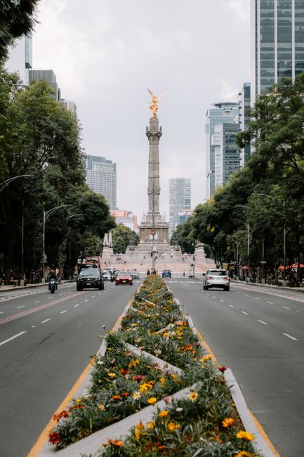 The iconic Angel of Independence monument on a sunny avenue in Mexico City.