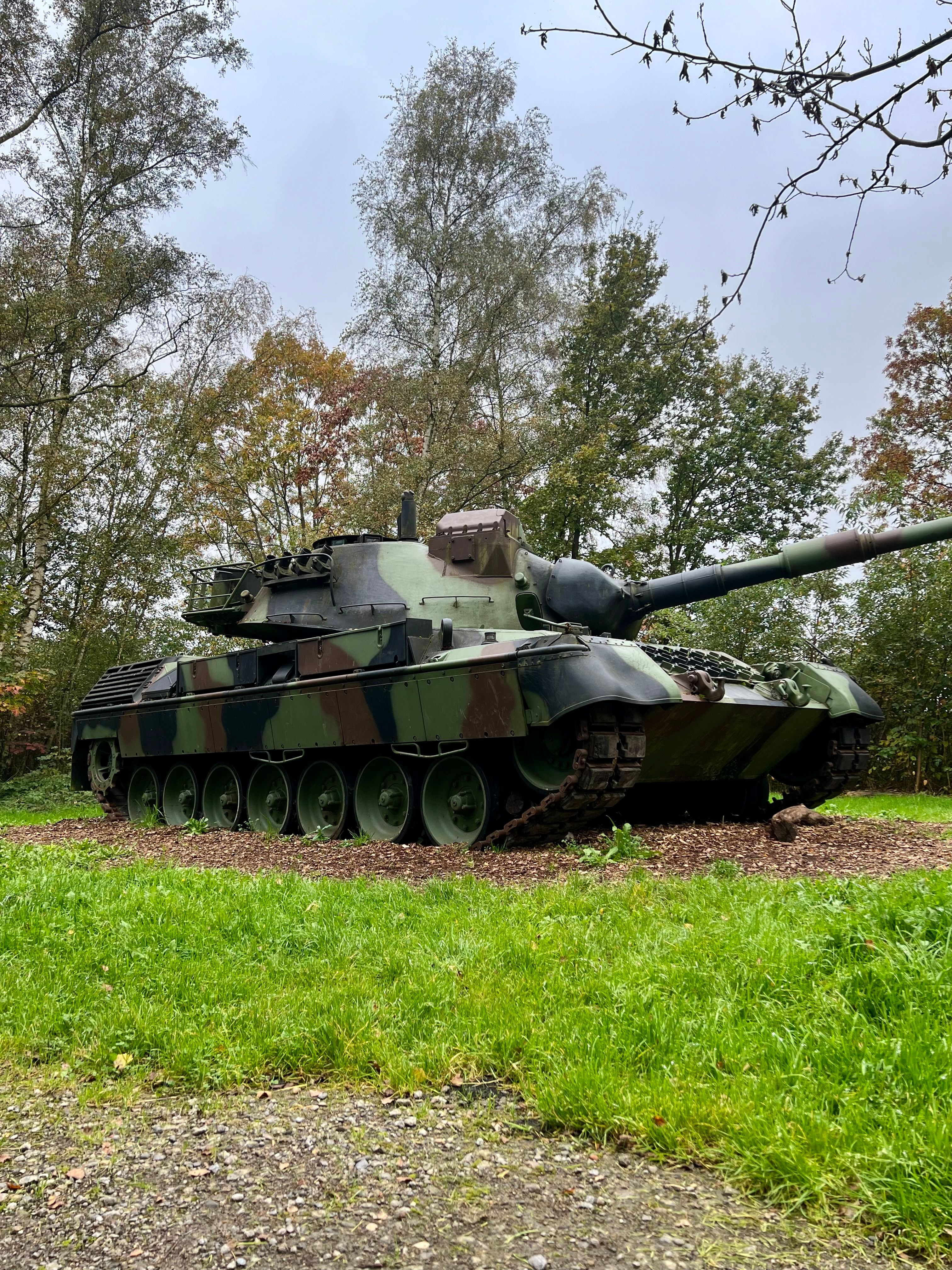 Char Militaire Camouflé Dans Un Décor Forestier · Photo gratuite