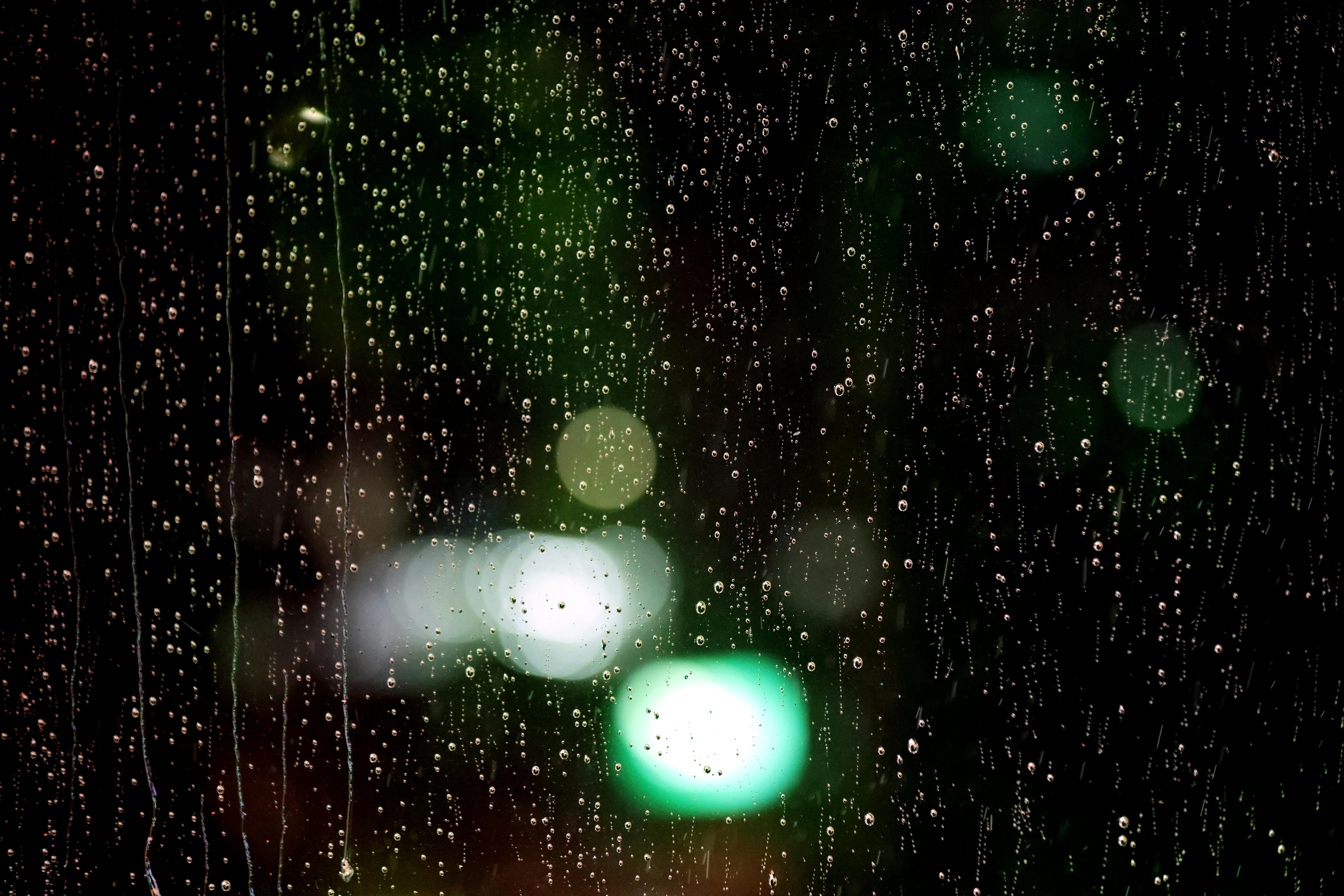 4 Quick Creative Rain Photography Tips — Photo by dp singh Bhullar on Pexels