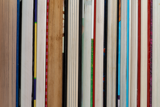 Close-up of colorful book spines aligned in a vertical row, showcasing assorted covers.