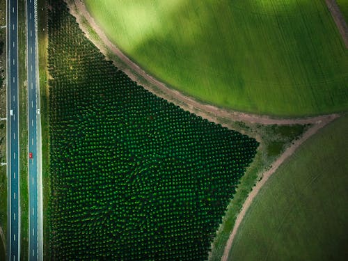 Foto Karya Seni Drone Di Ladang Pertanian