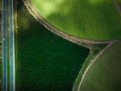 A Drone Shot Of Art Works In A Farm Fields