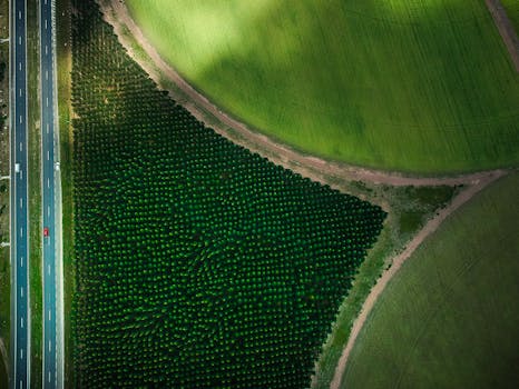 Drone shot capturing vibrant green fields and a highway, illustrating rural agriculture and transportation.