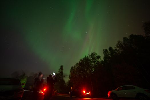 Vivid aurora borealis illuminates the night sky over a rural road in Belarus.