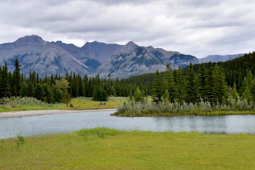 宁静的风景以山脉、平静的湖泊和郁郁葱葱的绿色针叶树为特色