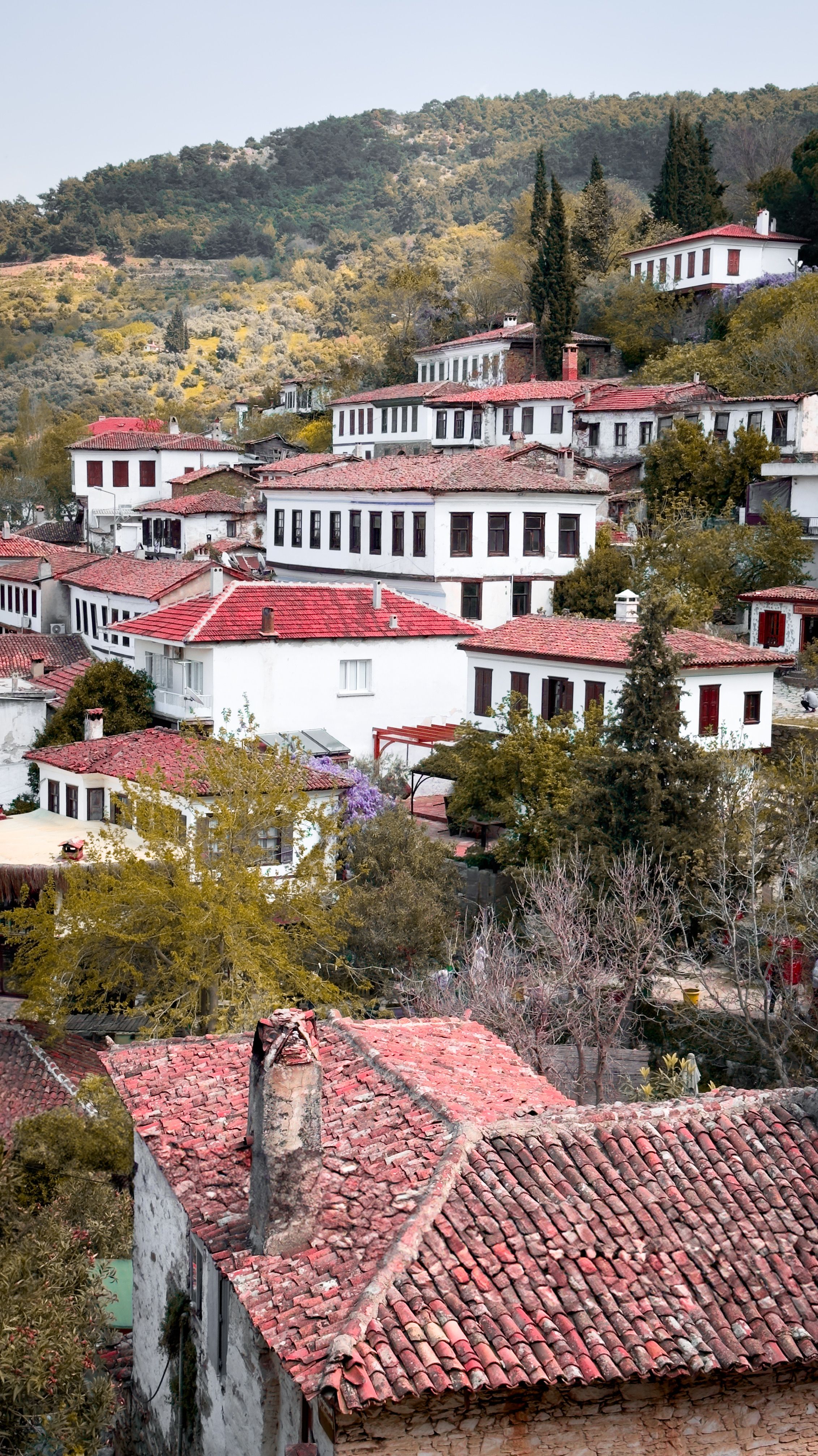 Explore traditional Ottoman architecture in this charming hillside village view.