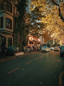 Cozy outdoor cafes and colorful autumn leaves line a lively urban street.