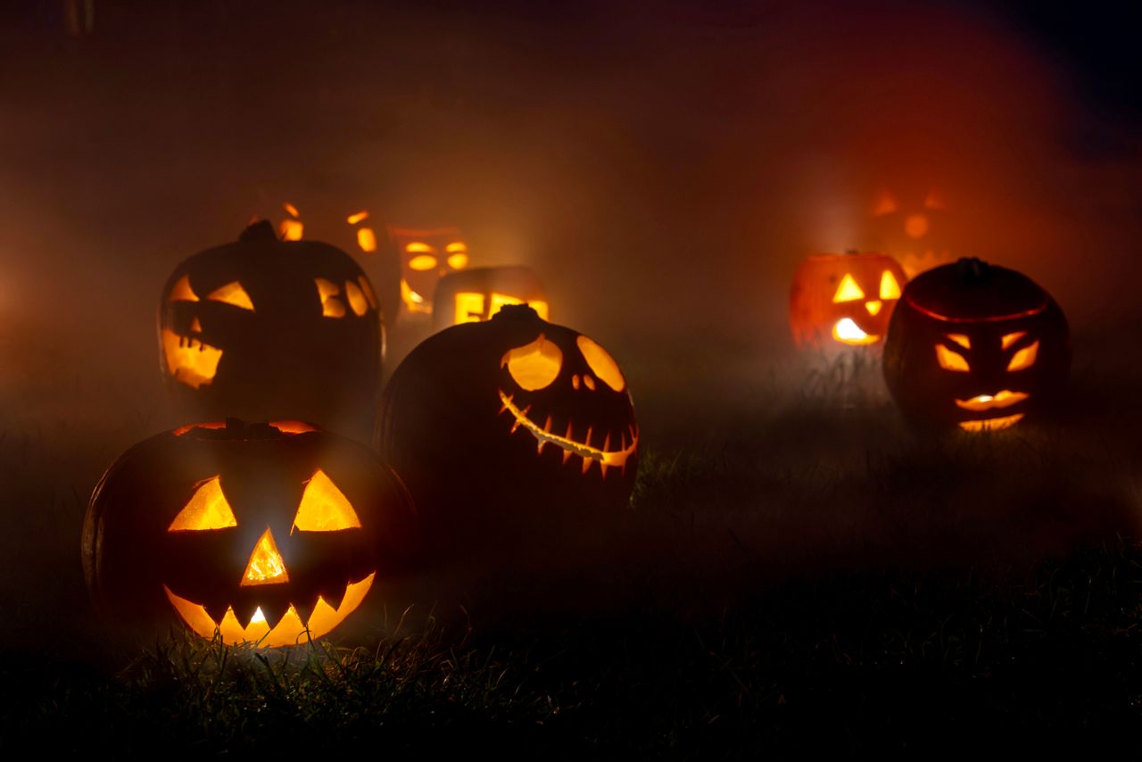 eerie glowing jack o lanterns in a foggy outdoor setting perfect for h
