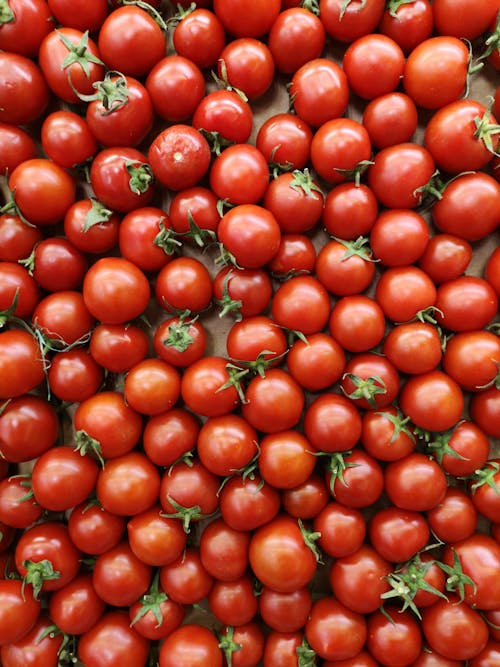 Free Red Tomatoes on Board Stock Photo