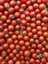 Red Tomatoes on Board