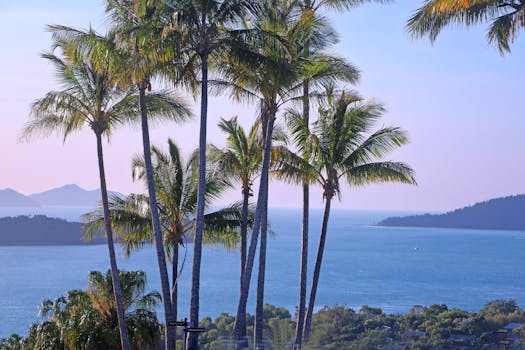 Mamanuca Islands, Fiji photo 16