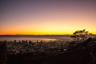 城市天际线上，日落景观令人惊叹，色彩鲜艳，树木剪影分明