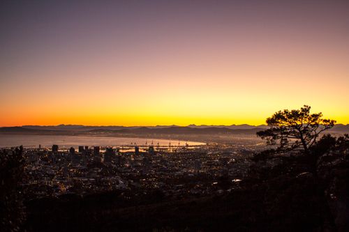 Free A stunning sunset view over a city skyline with vivid colors and silhouetted trees. Stock Photo