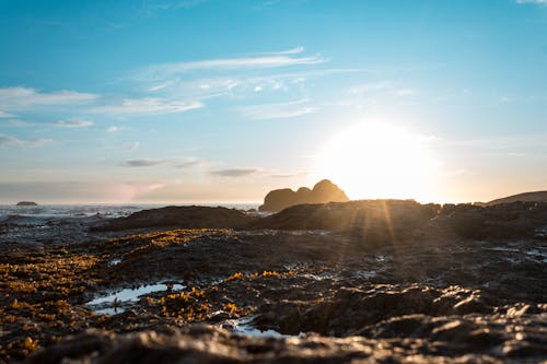 太陽照在大海的岩石海岸