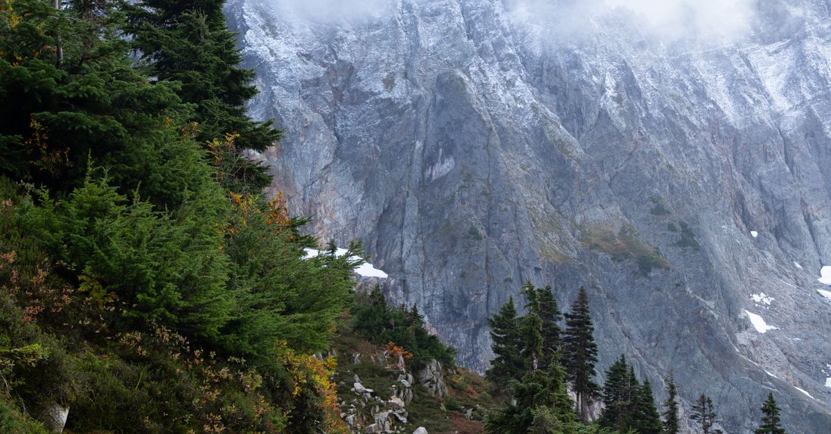 Misty Ridge Trail Misty Mountain Trail in North Cascades · Free Stock Photo