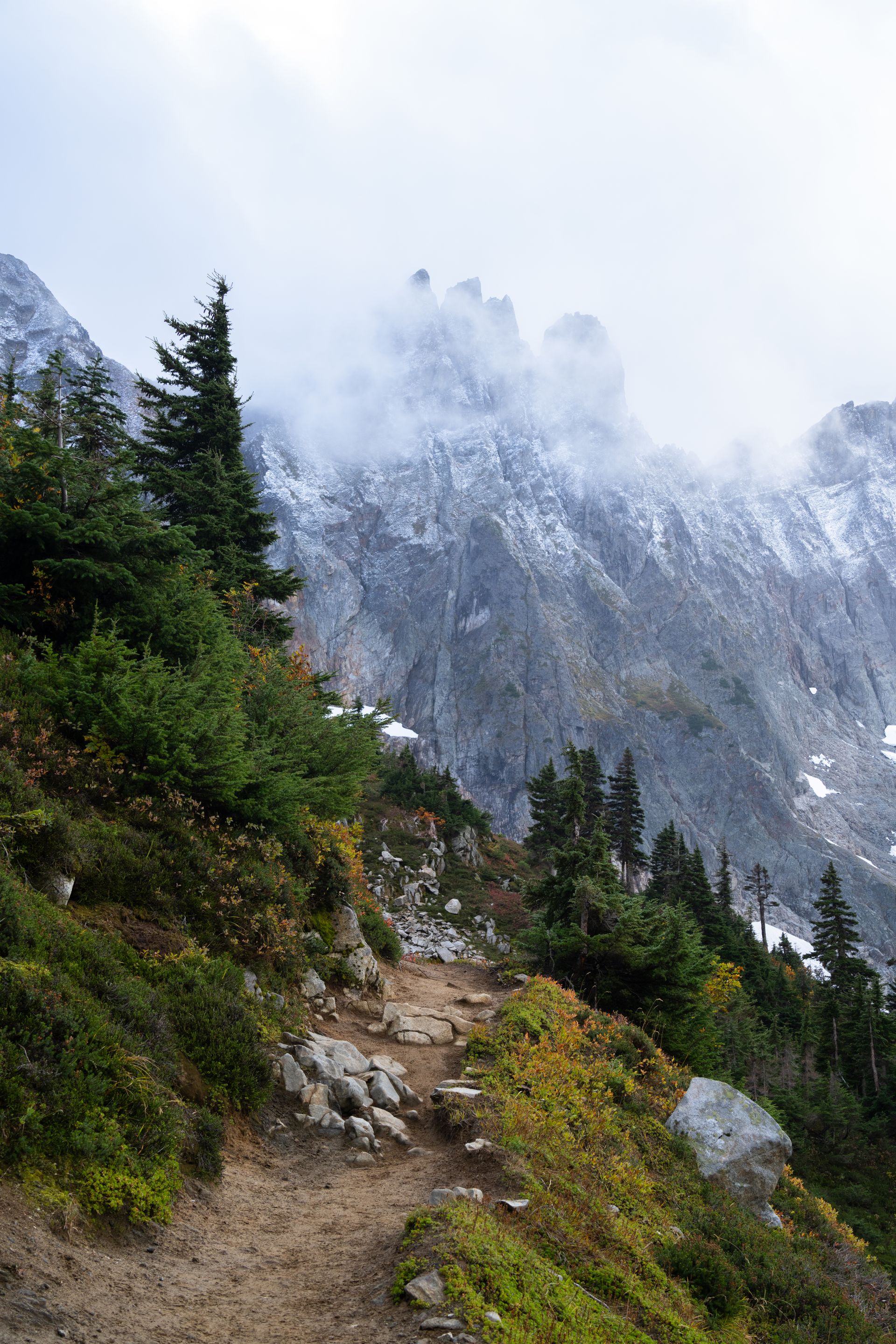 Misty alpine trail through old growth forest in the North Cascades