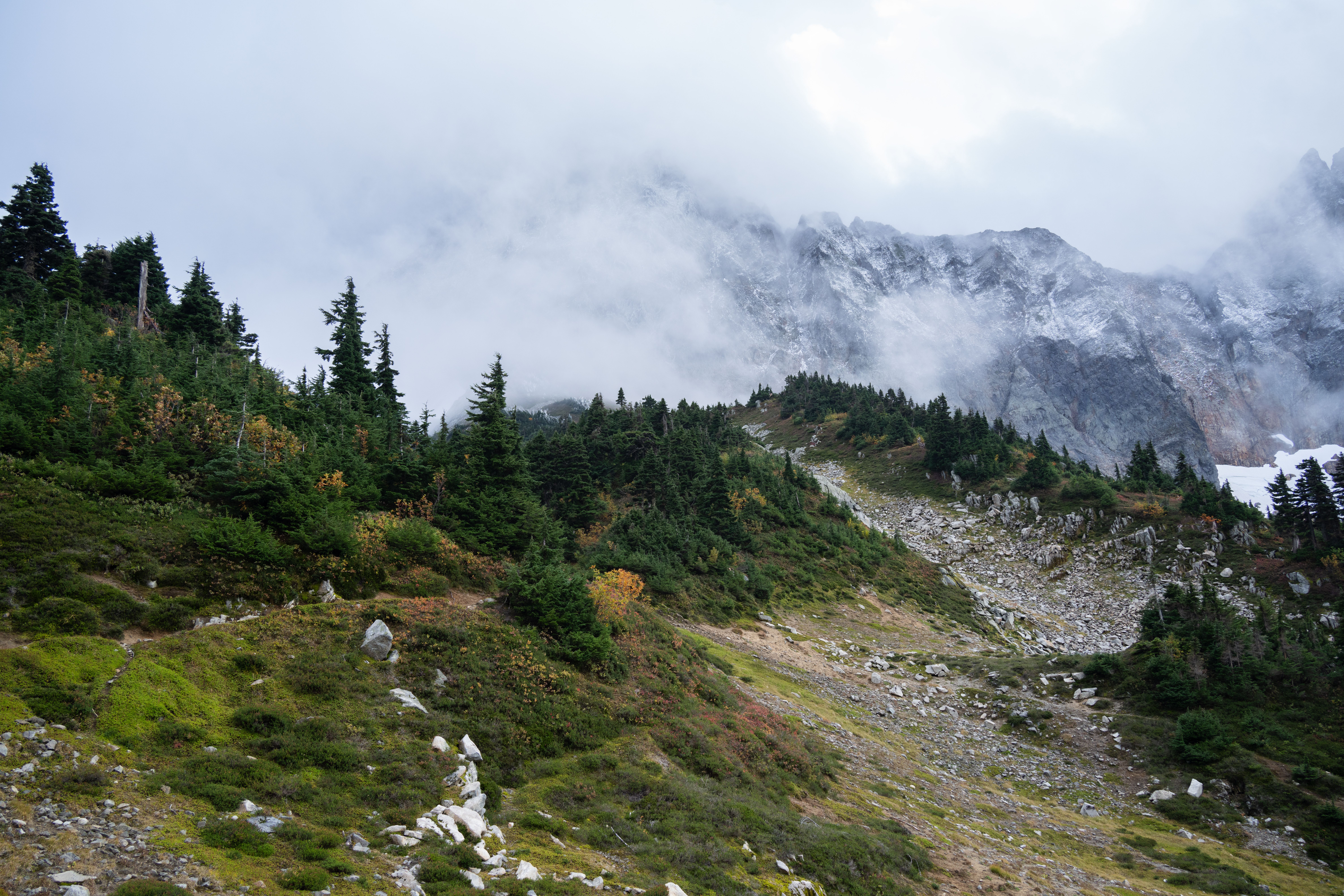 Misty mountains and lush forest landscape in Washington State, USA.
