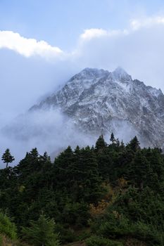 Majestic snow-capped mountain peak in misty Washington wilderness, surrounded by lush forest.