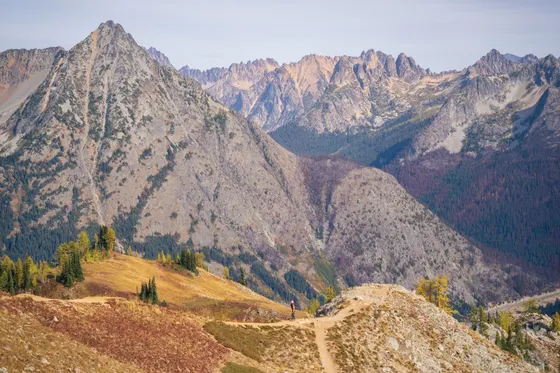 Golden larches above Lake Ann on the Maple Pass Loop