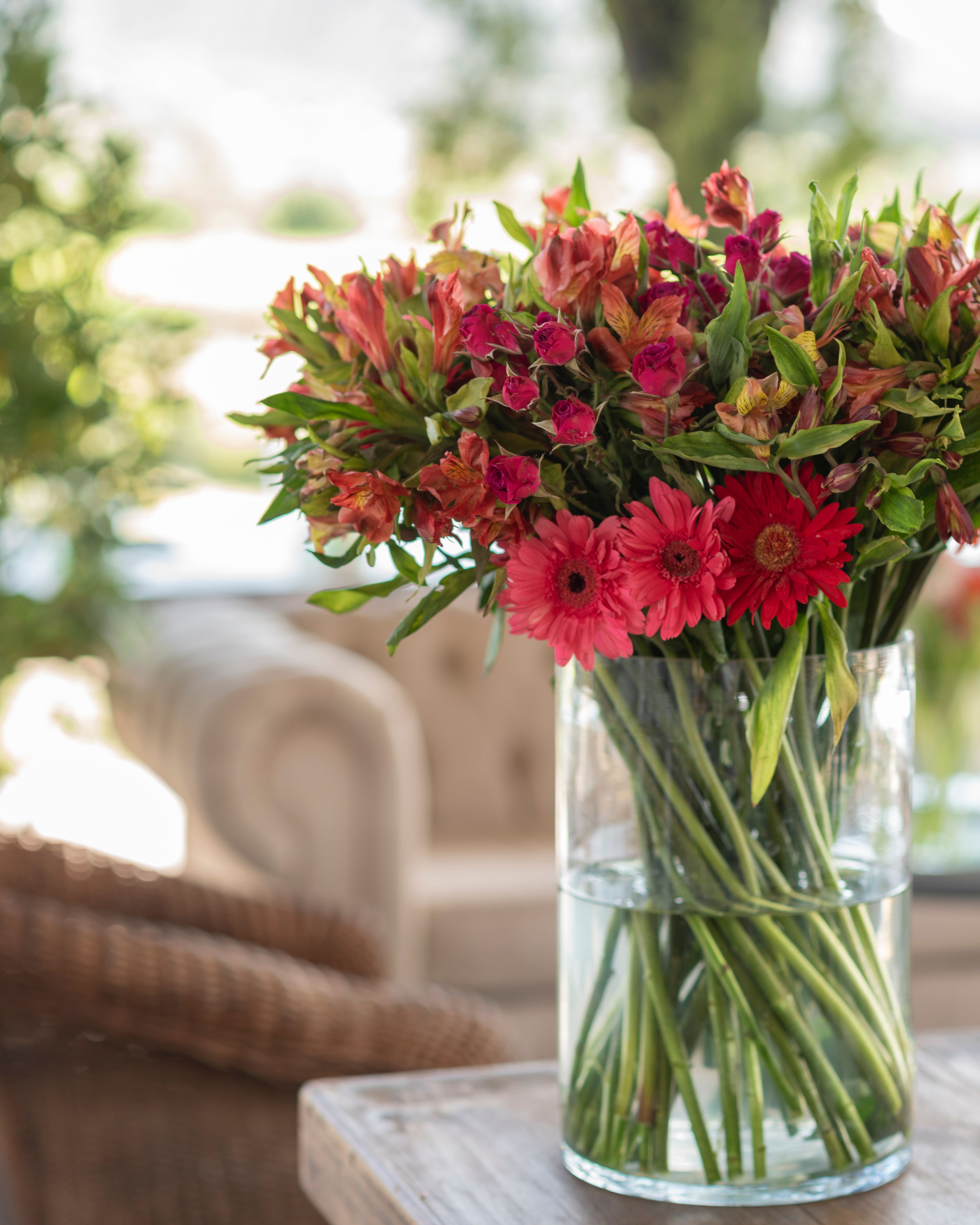 Vibrant Spring Floral Bouquet in Glass Vase · Free Stock Photo