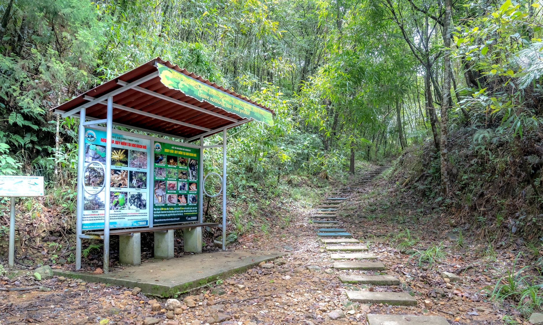 Pathway through a forest with educational signage, promoting nature conservation.
