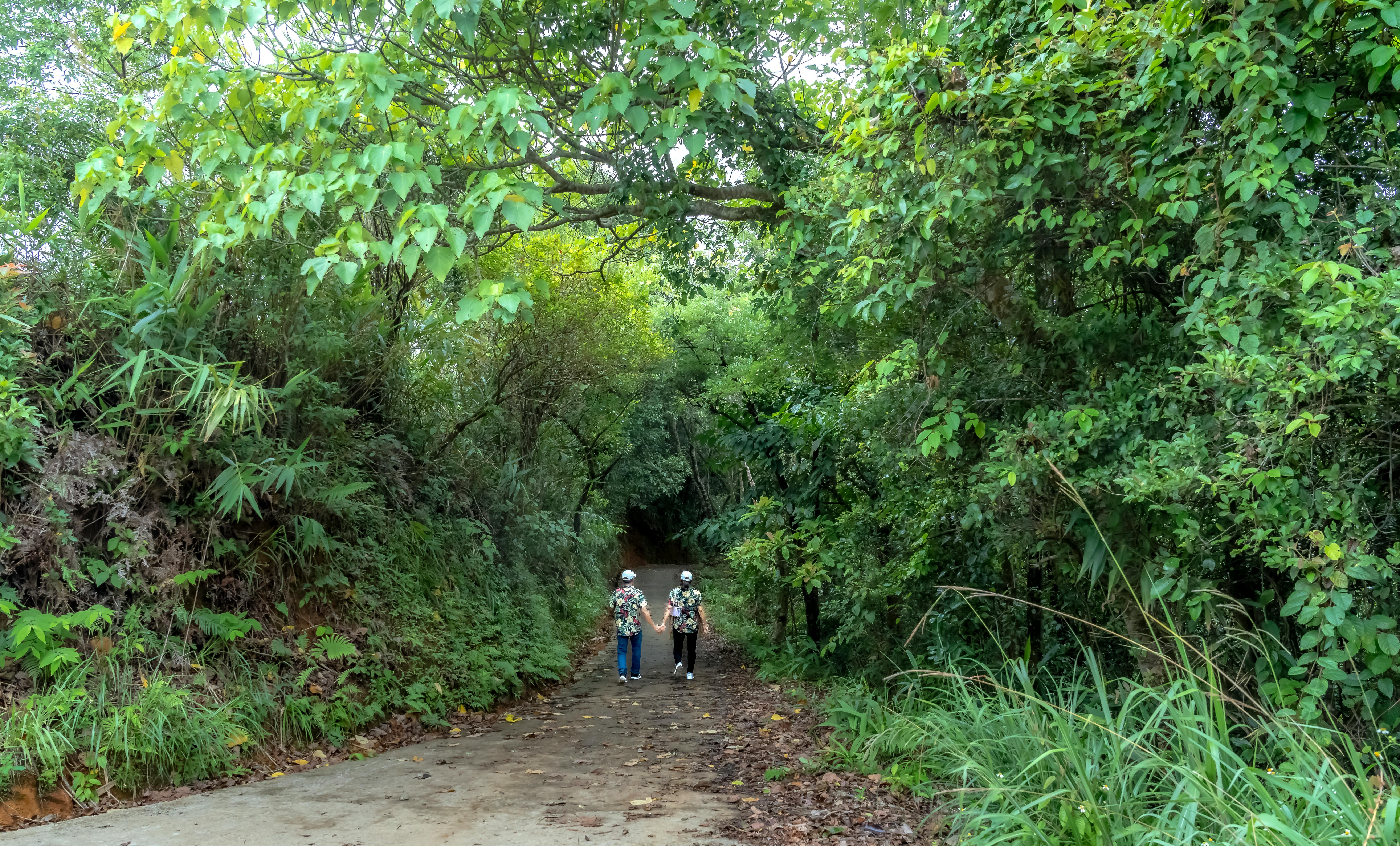 Mind Expanding Techniques for Unlocking Your Full Potential