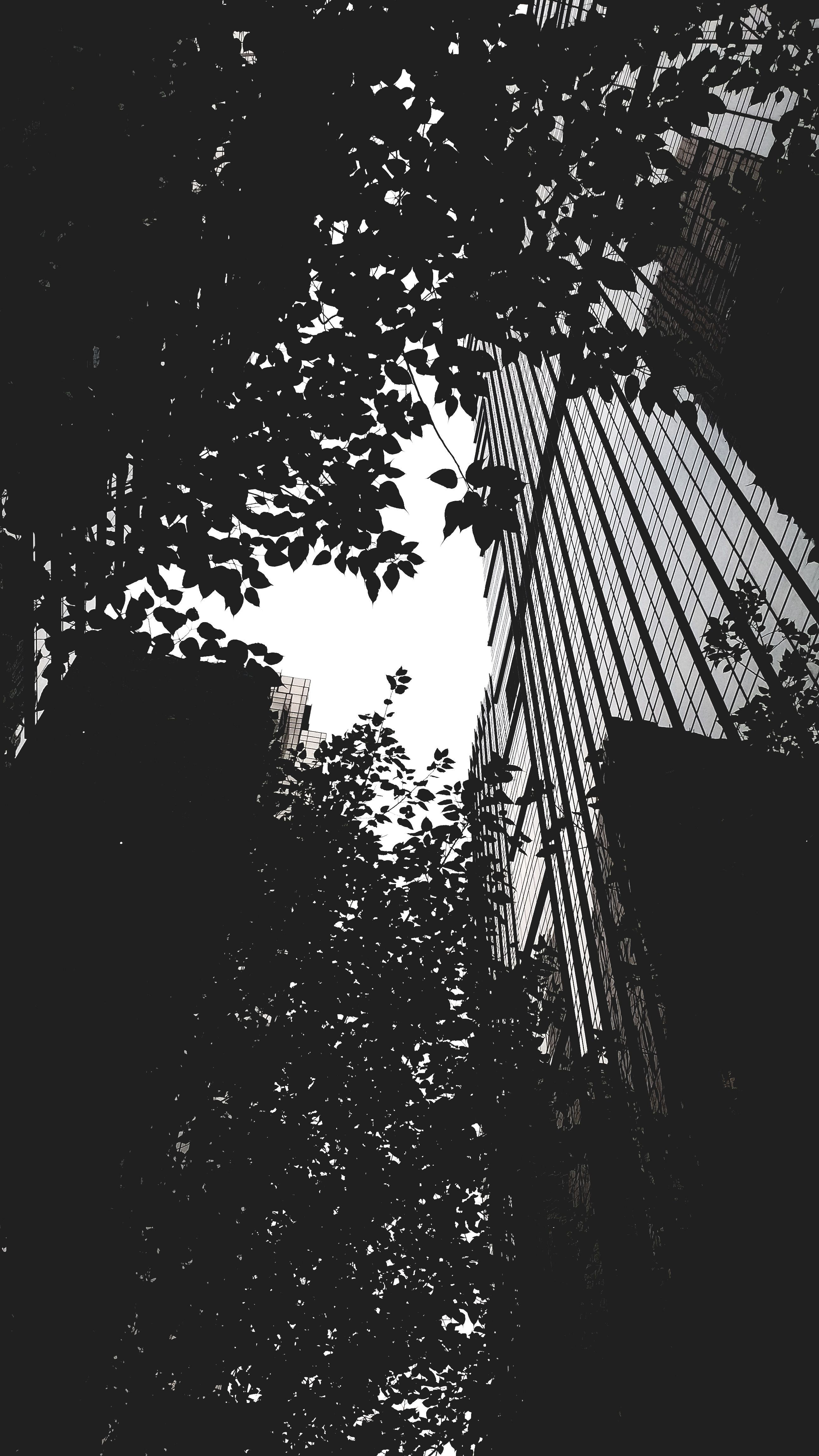 Black and White Urban Reflection in Cityscape · Free Stock Photo