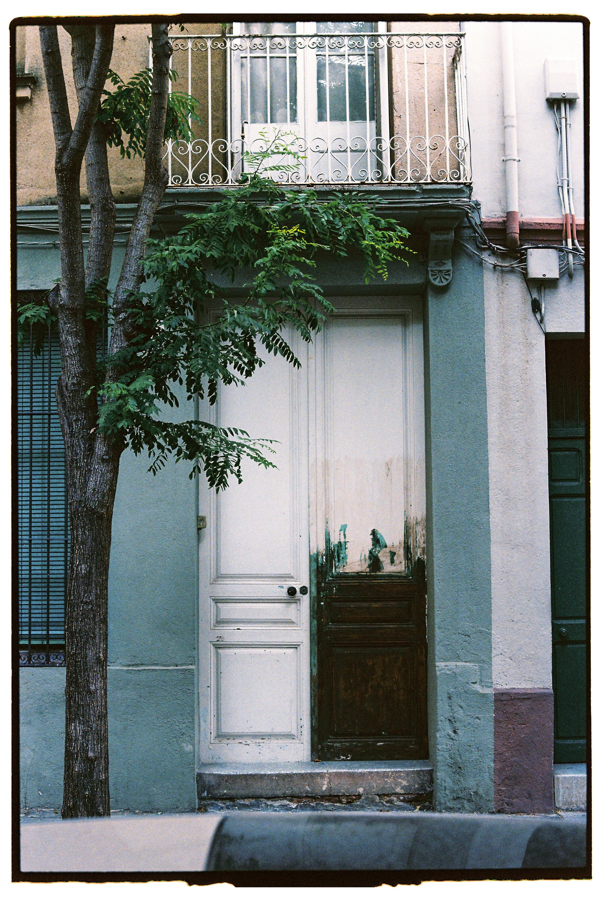 Charming urban doorway with green foliage and rustic facade.