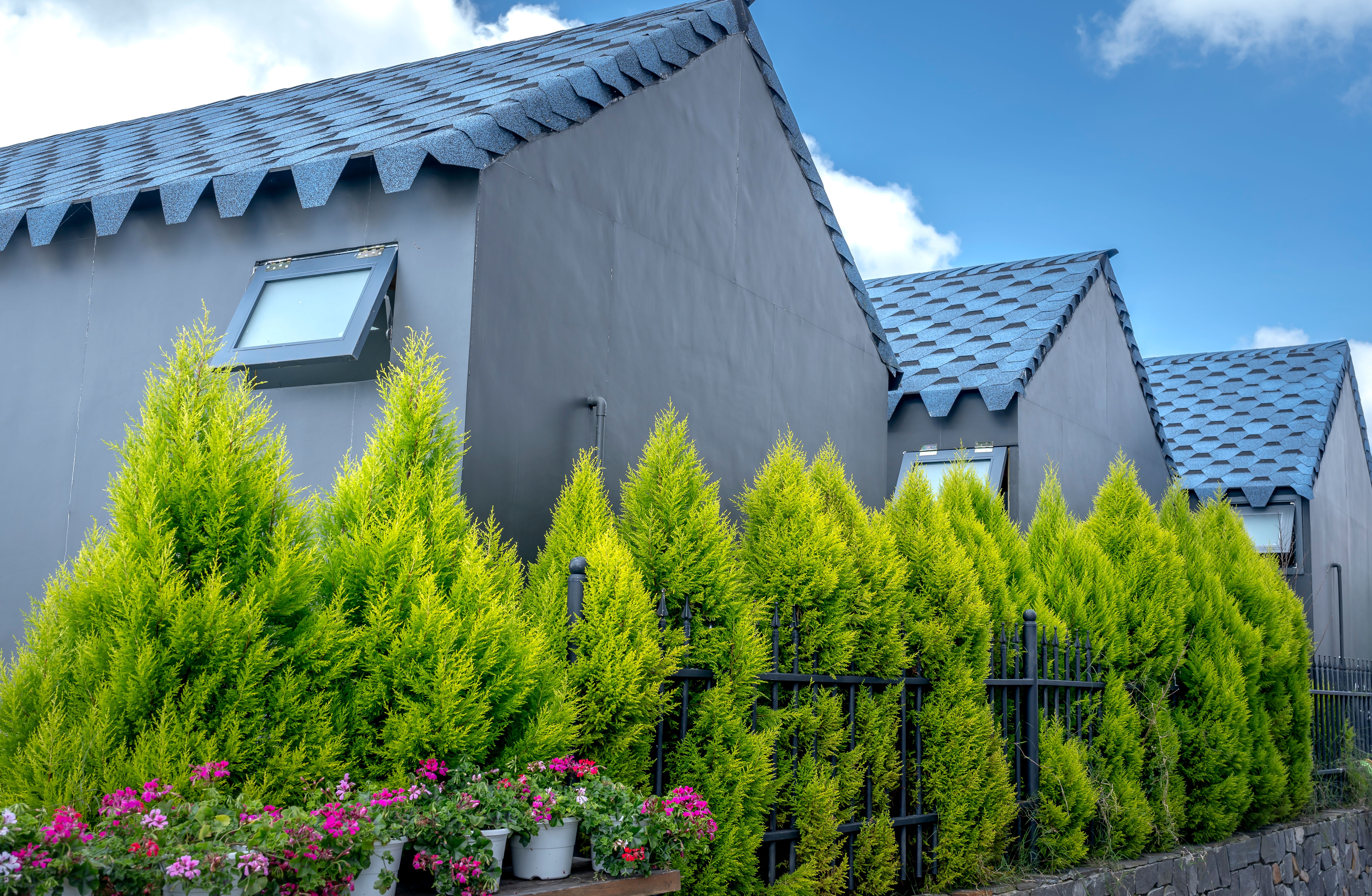 Fence and Decking Painting in Stonebridge — dust sheets down and the room fully protected