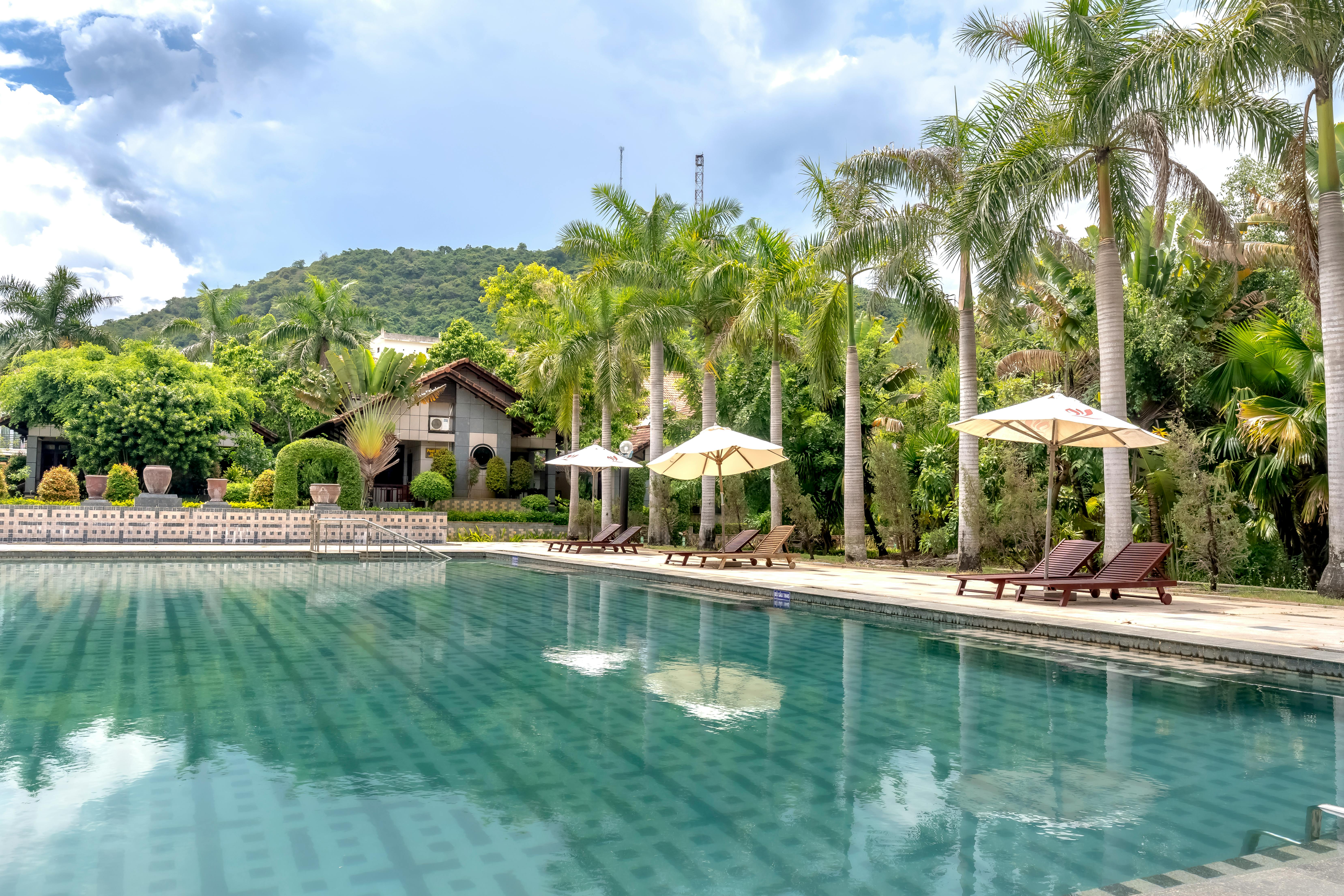 Piscine D'un Complexe Tropical Avec Palmiers En Toile De Fond