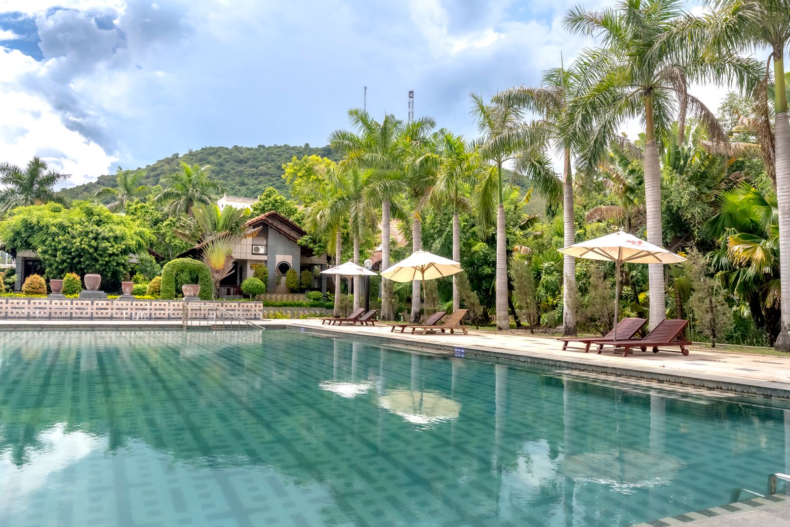 Palm trees around the lodge pool in bright daylight