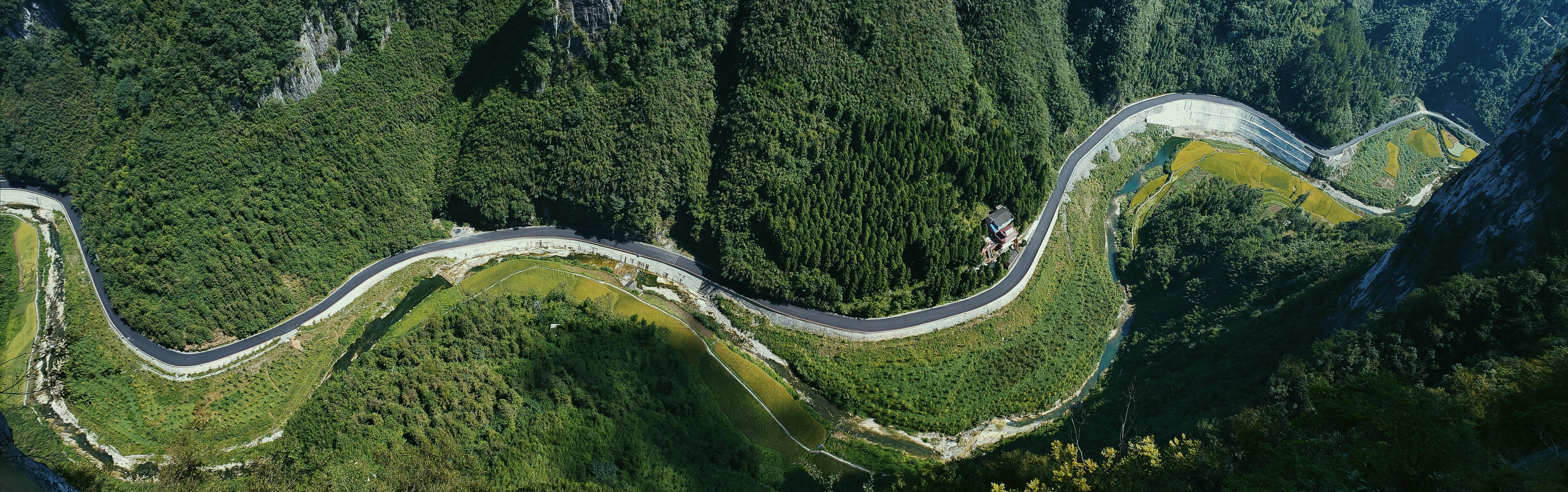 aerial photo of road near trees