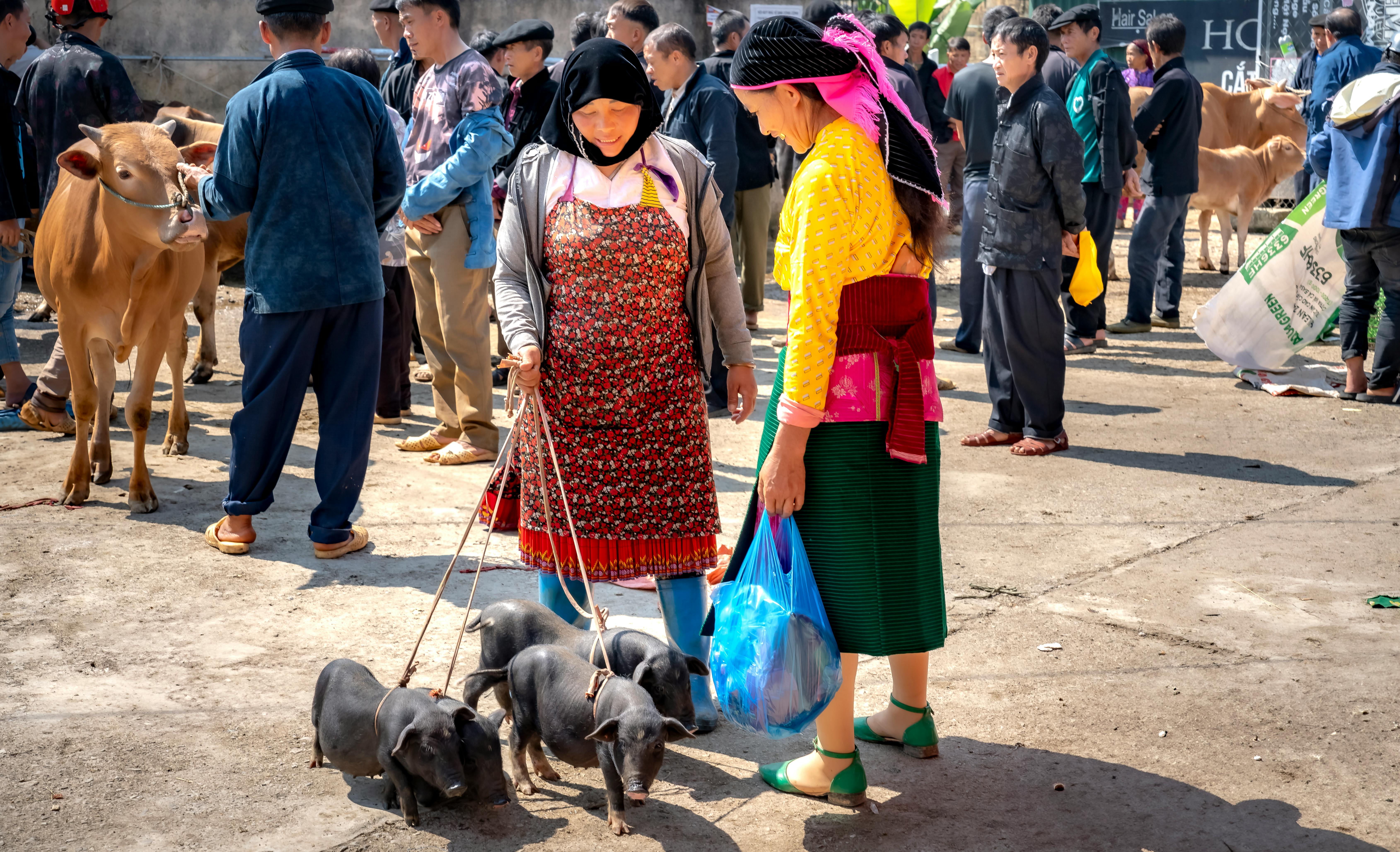 Lively Traditional Market Scene with Livestock