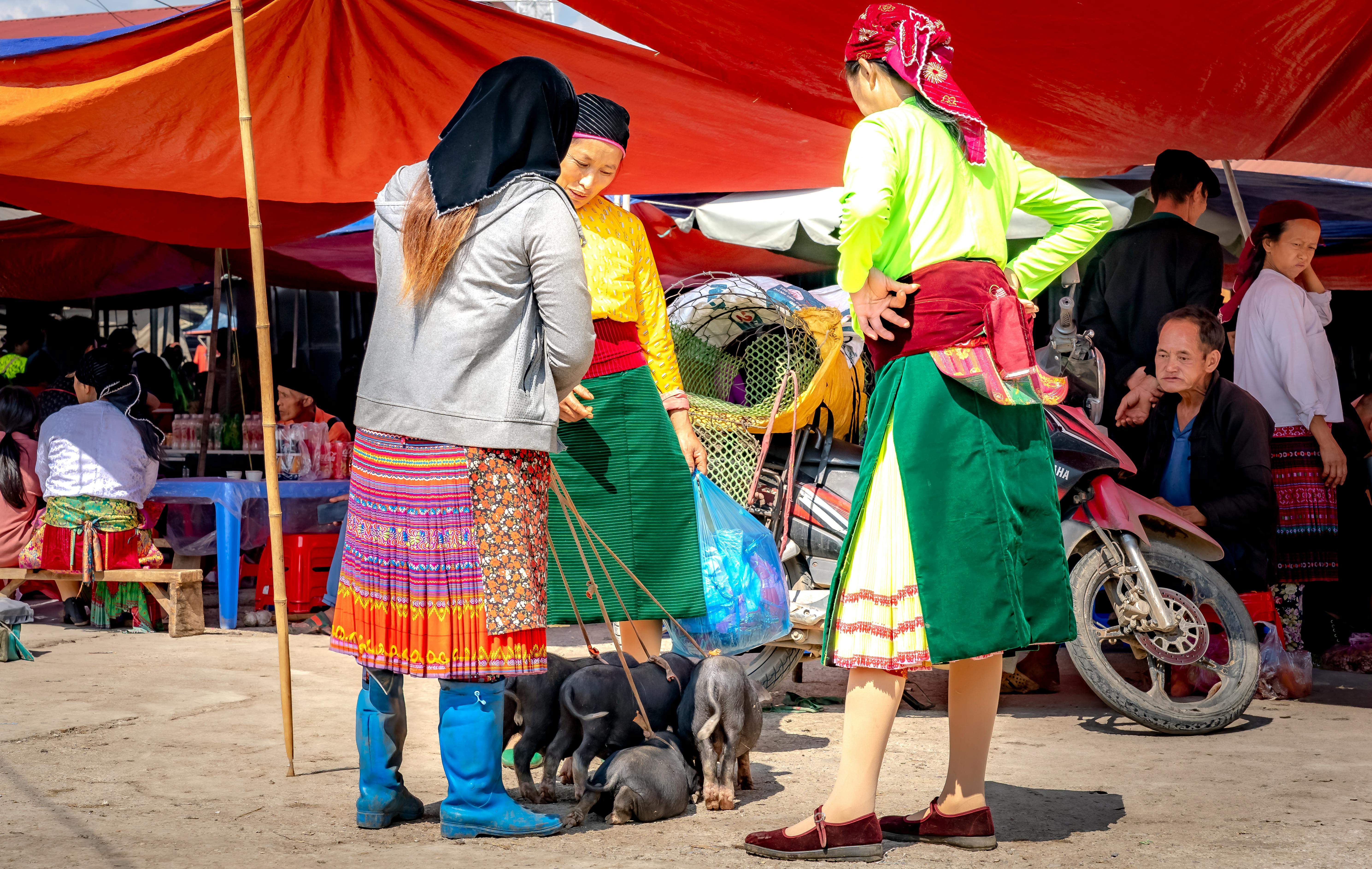 pet technology market — Photo by Quang Nguyen Vinh on Pexels
