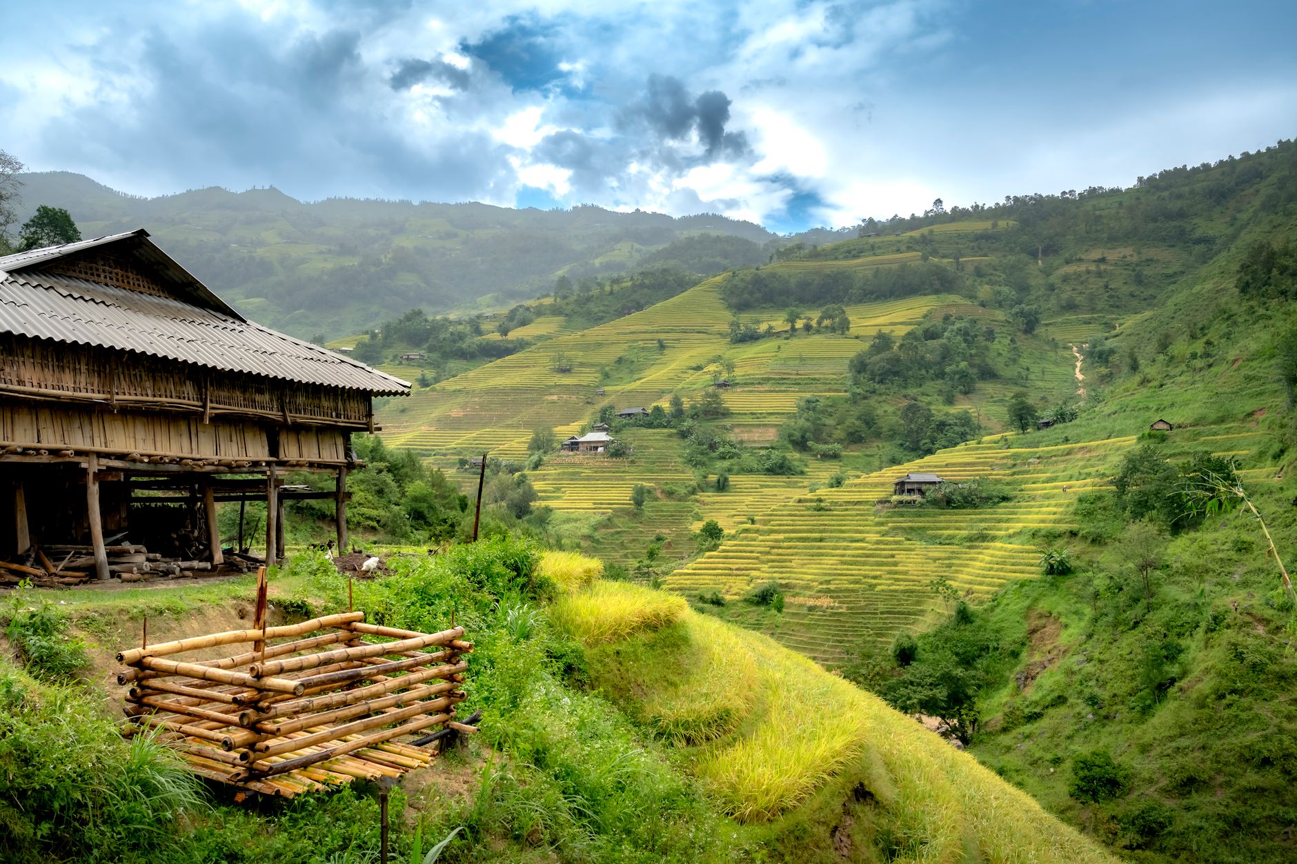 Picturesque terraced rice fields in a rural valley with a wooden house, lush greenery, and cloudy skies.