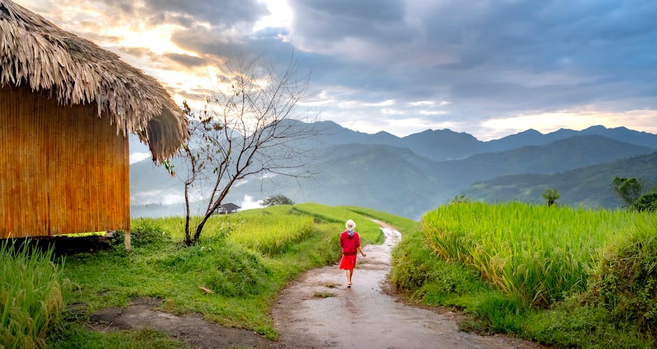 Revitalizing Nature Walks for Inner Peace