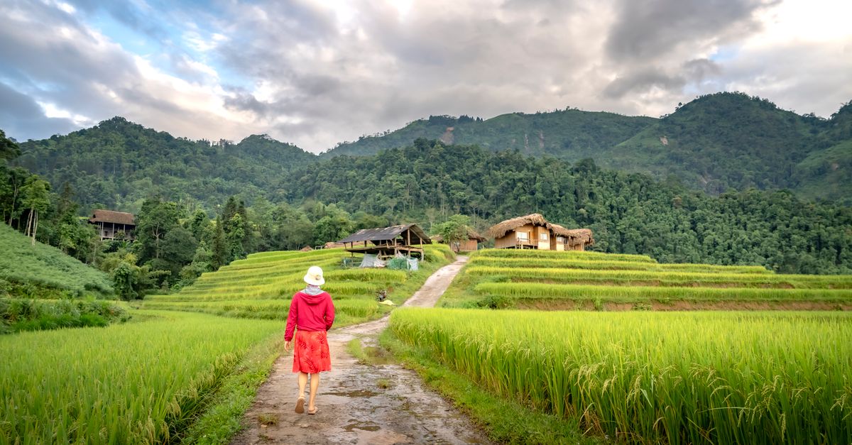 Les Meilleures Éco-Destinations à Explorer pour un Voyage Responsable