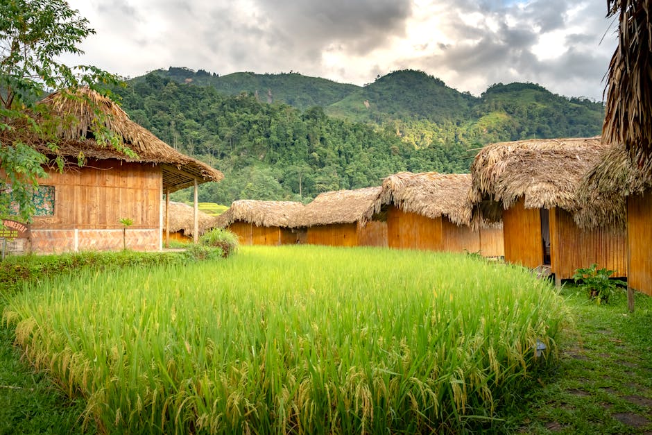 Traditional mud huts at The Mudhouse Sri Lanka with thatched roofs surrounded by lush vegetation - offbeat eco destinations Traditional mud huts at The Mudhouse Sri Lanka with thatched roofs surrounded by lush vegetation - offbeat eco destinations