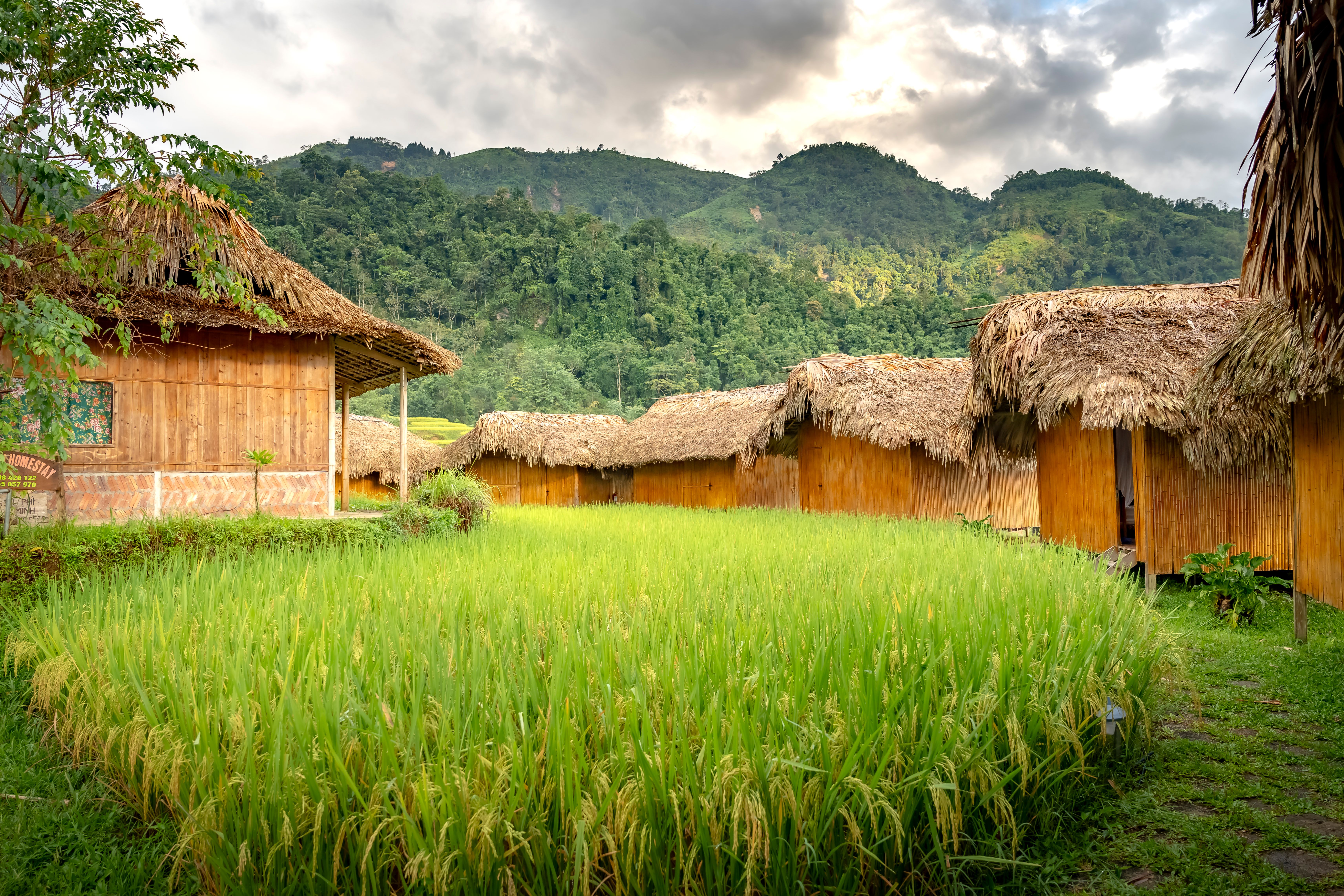 Rustic Thatched Huts in Lush Green Valley · Free Stock Photo