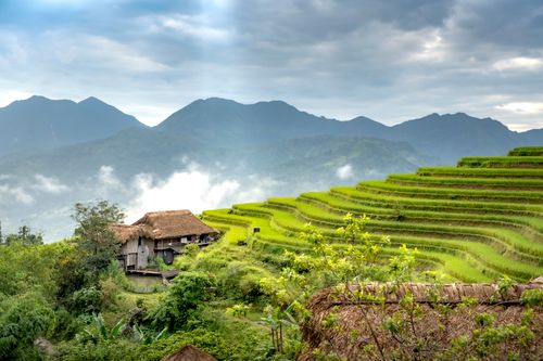 Free Stunning view of rice terraces and mountains with a traditional farmhouse, ideal for travel and nature themes. Stock Photo