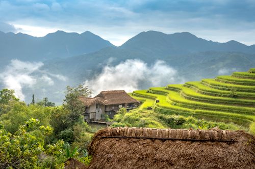 Free Idyllic view of lush rice terraces and traditional huts nestled in misty mountains. Stock Photo