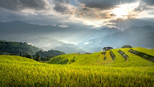 Free Beautiful rice terraces at sunrise, showcasing the vibrant fields and mountains. Stock Photo