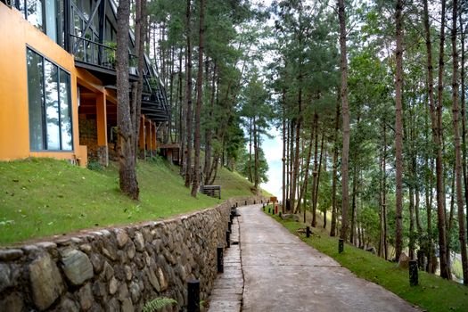 Serene forest pathway beside a modern orange cabin amidst tall pine trees.